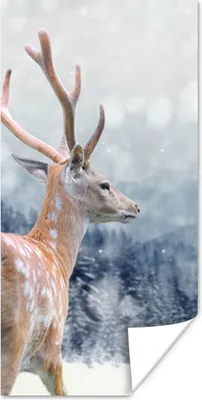 Produktbild von MuchoWow® Poster Winter - Hirsche - Tiere 60x120 cm - Wandschmuck