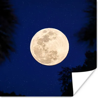 Produktbild von MuchoWow® Poster Mond - Bäume - Nacht 30x30 cm - Wandposter - Printing