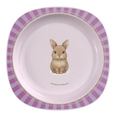 Produktbild von Canpol babies Teller mit Saugnapf 23 cm Woodland Rosa 32/403_pin