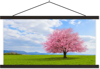 Produktbild von MuchoWow® Textilposter Sakura - Farben - Frühling 90x45 cm mit schwarzem Rahmen - Klemmleisten