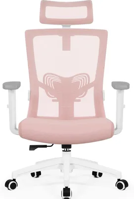 Image de Chaise de bureau ergonomique Aiibot, chaise de bureau avec appui-tête réglable, accoudoirs, soutien lombaire, fauteuil de direction, chaise pivotante, chaise de bureau supportant jusqu'à 150 kg