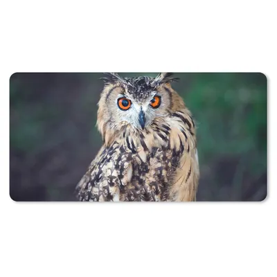 Produktbild von MuchoWow® Schreibtischunterlage Eule 80x40 cm - XXL Mauspad - Gaming Mauspad