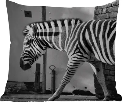 Produktbild von MuchoWow® Outdoor Kissen - Zebra - Wand - Tür - Tiere - Schwarz und weiß - 50x50 cm - Wetterfest - Lounge Kissen - Komfortabel - Kissen mit Bild