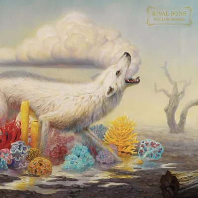 Zdjęcie produktu dla Hollow Bones
