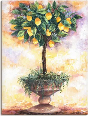 Produktbild von ARTland Leinwandbild Zitronenbaum Größe: 30x40 cm