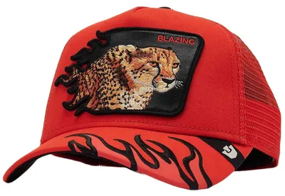 Image de Casquette Goorin Bros 1012743BLZ01 pour Uni