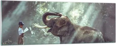 Produktbild von Bilder auf glas - Elefant Dschungel Stoßzahn - 90x30cm - Glasbilder - Wandbilder - Kunstdruck - zum Aufhängen bereit - Wanddekoration aus Glas - Glas Bilder - Wandbild auf Glas - GAB90x30-3486