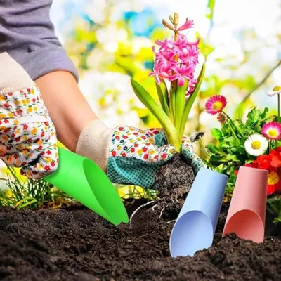 Blumenerde Schaufel für kleine Pflanzen, Hauptbild