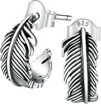 Produktbild von Silberohrringe, Federohrringe, Silber 925, Trusky-Ohrringe