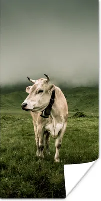 Produktbild von MuchoWow® Poster Kuh - Berg - Nebel 20x40 cm - Plakat - Foto