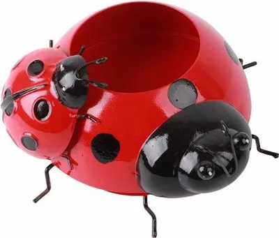 Productafbeelding van Famanu bloempot, insectenmotief, 22 x 10 x 5 cm, metaal, lieveheersbeestjes - rood - geschikt voor binnen- of buitendecoratie