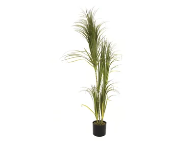 Produktbild von EUROPALMS Dracenabusch, künstlich, 215cm (82505760)