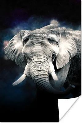 Produktbild von MuchoWow® Poster Elefant - Schwarz - Rauchen 80x120 cm - Papierdruck