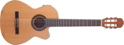 Produktbild von Prodipe Gitarren STUDENT CUT + EQ