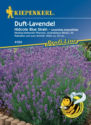 Produktbild von [STREICHUNG 2025] Duft - Lavendel Hidcote Blue Strain | Lavendelsamen von Kiepenkerl
