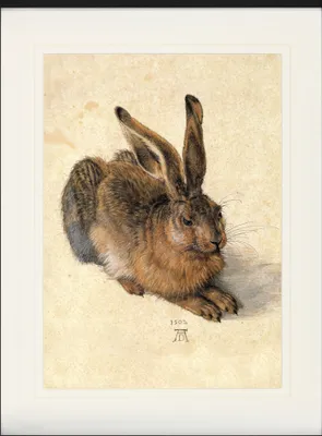 Obrázek produktu pro Albrecht Dürer Rámovaný obraz s jemným paspartováním | nástěnné obrazy | v rámu - Mladý zajíc, 1502 (80 x 60 cm)