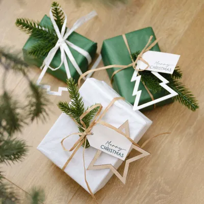 Produktbild von 3 Geschenkanhänger, Zweige und Kärtchen