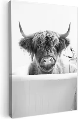 Produktbild von MuchoWow® - Leinwandbilder - Schottischer Highlander - Kuh - Bad - Schwarz und weiß, Wandbild, Wanddeko Bilder Wohnzimmer, 20x30 cm