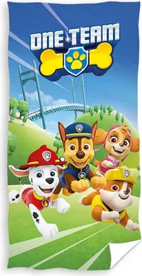 Produktbild von Carbotex Paw Patrol - Badehandtuch 70x140cm
