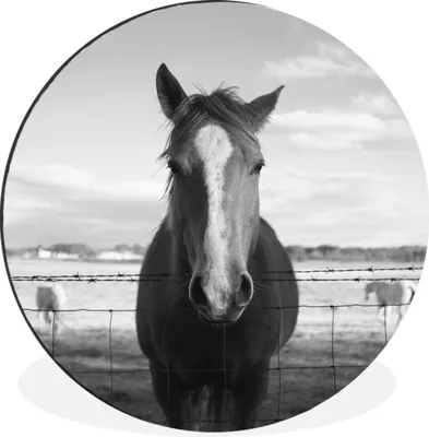 Produktbild von MuchoWow® - Mauerkreis - Wandbilder - Runde Bild - Bild aus Aluminium - Schlafzimmer - Wohnzimmerdekoration - Wand Dekoration