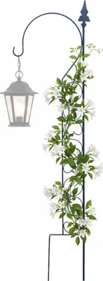Produktbild von Relaxdays Rankhilfe, H x B: 116 x 28 cm, Schäferstab, Rankgitter für Kletterpflanzen, Metall, freistehend, schwarz