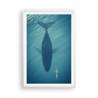 Produktbild von Gerahmtes Poster - Weißer Rahmen - Buckelwal Ozean Wal - 61x91,5 cm - Wand Bild - Wanddeko - Wandbilder - Kunstposter - Wandposter - Bilderrahmen - Bilder - Kunstdruck Wanddekoration - P2WPA61x91-5174