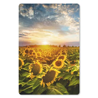 Produktbild von MuchoWow® Mauspad Mousepad Blumen - Sonnenblume - Himmel 40x60 cm - Mousepads - Maus Mat - Pad - Mausunterlage - Schreibtisch Accesoire