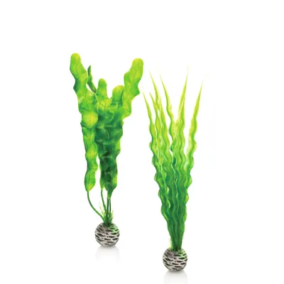 Produktbild von biOrb Pflanzen Set mittelgroß grün (46056)
