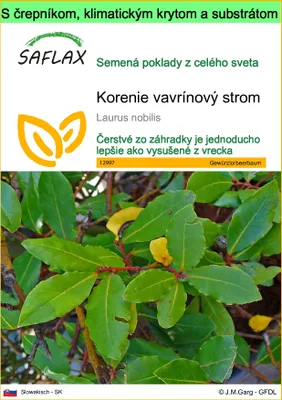 Obrázok produktu pre SAFLAX Garden to go - korenie vavrínový strom - Laurus nobilis - 6 Semená - S črepníkom, klimatickým vekom a pestovateľským substrátom