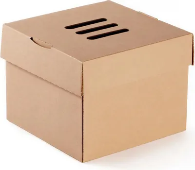 Image de Burgerbox pliable 13 x 13 x 10 cm 100 pièces.