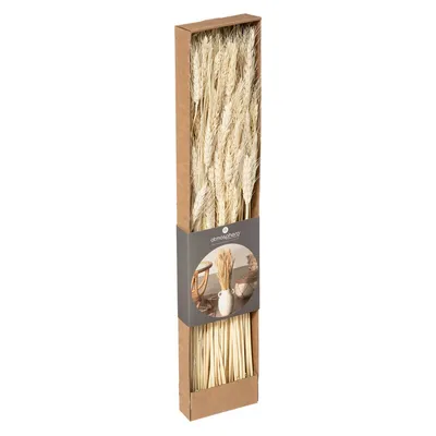 Produktbild von Strauß trockenblumen kraftschachtel h60cm  - Atmosphera créateur d'intérieur
