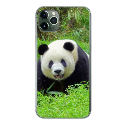 Produktbild von MuchoWow® Handyhülle Schutzhülle Hülle für iPhone 11 Pro Max Panda - Gras - Tier Silikon Softcase Handy Hülle - Schutz