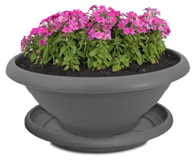 Image de Bac à plantes avec soucoupe pour l'extérieur 25 cm Pot de fleurs gris