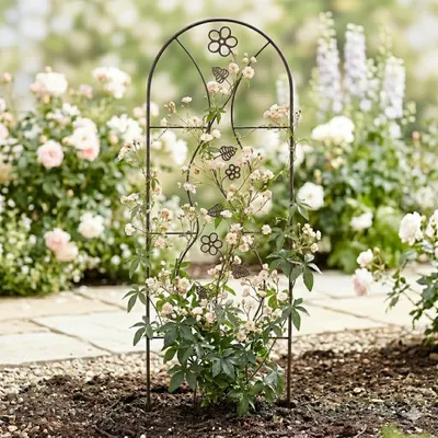 Produktbild von Verwandeln Sie Ihren Garten in ein grünes Paradies – Mit unserem eleganten Metall-Rankgitter Marino!