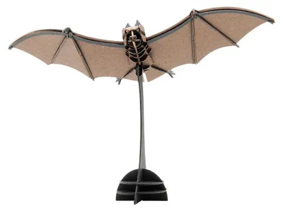 Image de Maquette 3D de Liliac, Fridolin