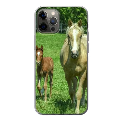 Produktbild von MuchoWow® Handyhülle Schutzhülle Hülle für iPhone 12 Pro Pferd - Fohlen - Tiere Silikon Softcase Handy Hülle - Abdeckung