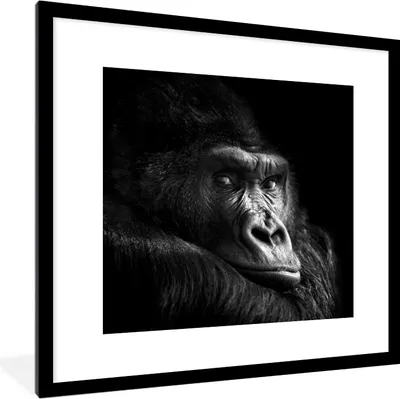 Produktbild von MuchoWow® Gerahmtes Poster Gorilla - Affe - Schwarz - Weiß - Porträt 40x40 cm - Poster mit Schwarzem Bilderrahmen Wandposter Rahmen Foto Bilder - Poster - Plakat im Rahmen
