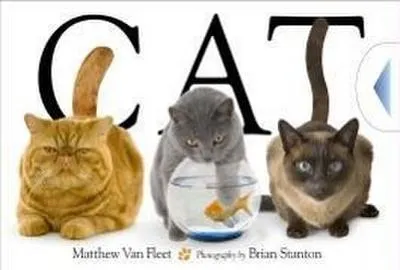 Produktbild von Cat