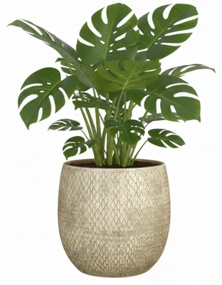 Produktbild von Glimmer Blumentopf / Pflanztopf Madeira - creme - terracotta - 18 cm - Schuppenmuster