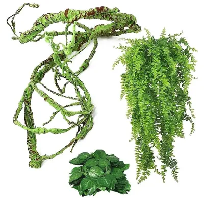 Produktbild von Solidchoice – Set aus 3 flexiblen Kletterästen für die Dekoration von Terrarien