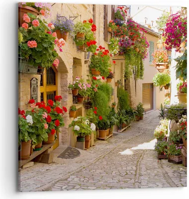 Produktbild von Bild auf Leinwand - Leinwandbild - Blume Straße Haus - 70x70cm - Wand Bild - Wanddeko - Wandbilder - Leinwanddruck - Bilder - Kunstdruck - Wanddekoration - Leinwand bilder - Wandkunst - AC70x70-3586