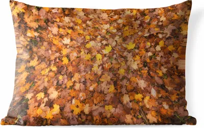 Produktbild von MuchoWow® Outdoor Kissen - Blätter - Herbst - Jahreszeiten - 60x40 cm - Wetterfest - Lounge Kissen - Zierkissen - Kissen für Innenräume