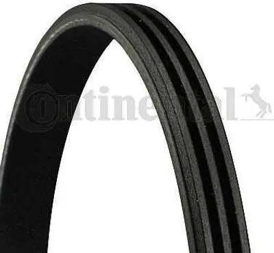 Produktbild von CONTINENTAL CTAM Zahnriemen 3PK894 ELAST