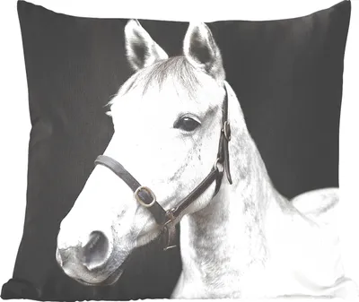 Produktbild von MuchoWow® Zierkissen Sofakissen Wohnzimmer Dekokissen 60x60 cm Pferd - Halfter - Weiß - Sitzfläche - Foto Polster