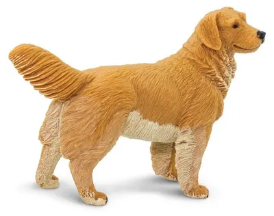 Immagine prodotto di Safari Ltd - Figurina Golden Retriever (marrone) - Dai 3 anni in su - Bambini (marrone) - Dai 3 anni in su