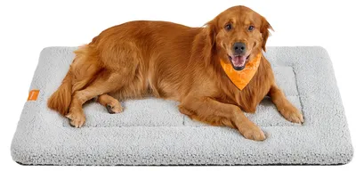 Produktbild von Feandrea Hundedecke, für Hunde, Katzen, 120 x 75 cm, XXL, rutschfest – Größe XXL (120 x 75 cm)