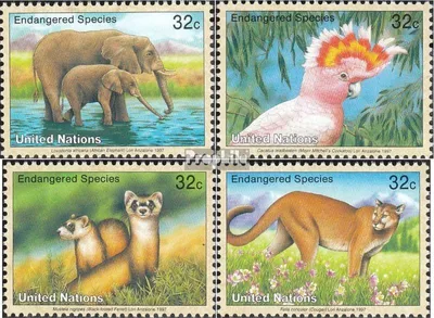 Produktbild von Briefmarken UNO - New York 1997 Mi 732-735 (kompl.Ausg.) gestempelt Gefährdete Tiere