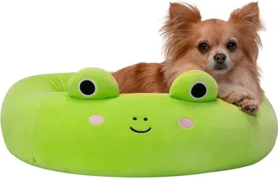 Obrázek produktu pro Pelíšek Squishmallows Wendy The Frog, 50 cm