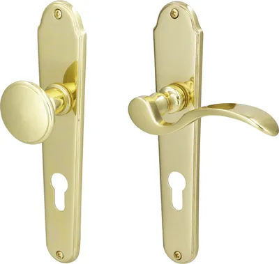 Produktbild von Südmetall Türgriff-Garnitur Langschild Panda PZ Messing poliert Drücker rechts gold 225 x 45 mm