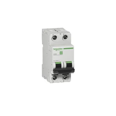 Immagine prodotto di Interruttore LS Schneider Electric M9F11216
